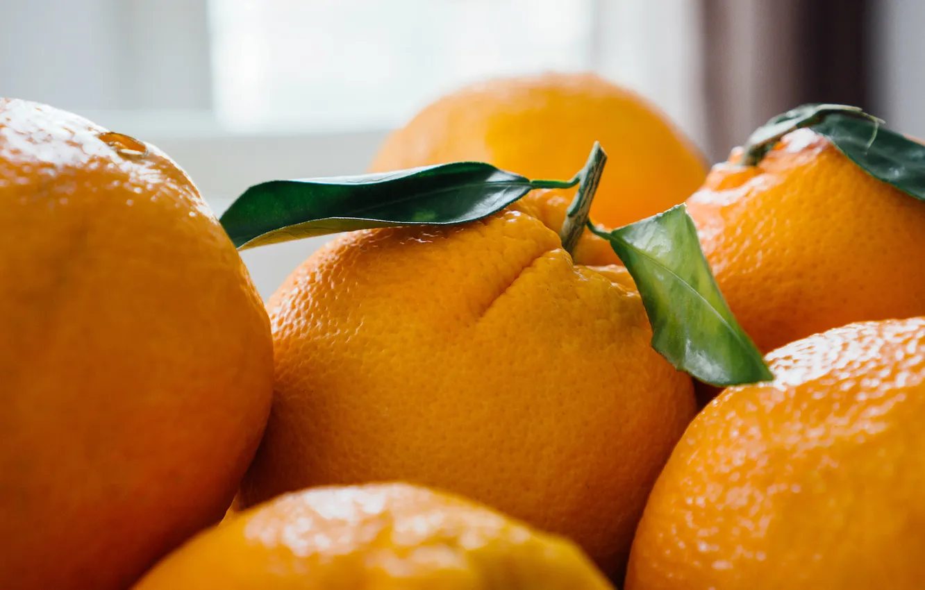 Photo wallpaper leaves, macro, close-up, orange, window, fruit, composition
