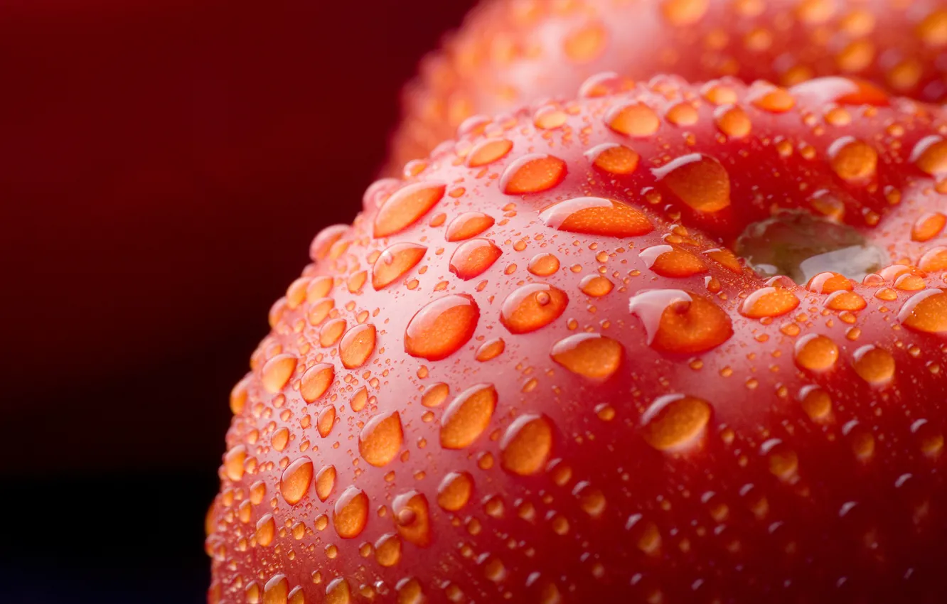 Photo wallpaper drops, fruit, vegetables, macro, macro tomatoes