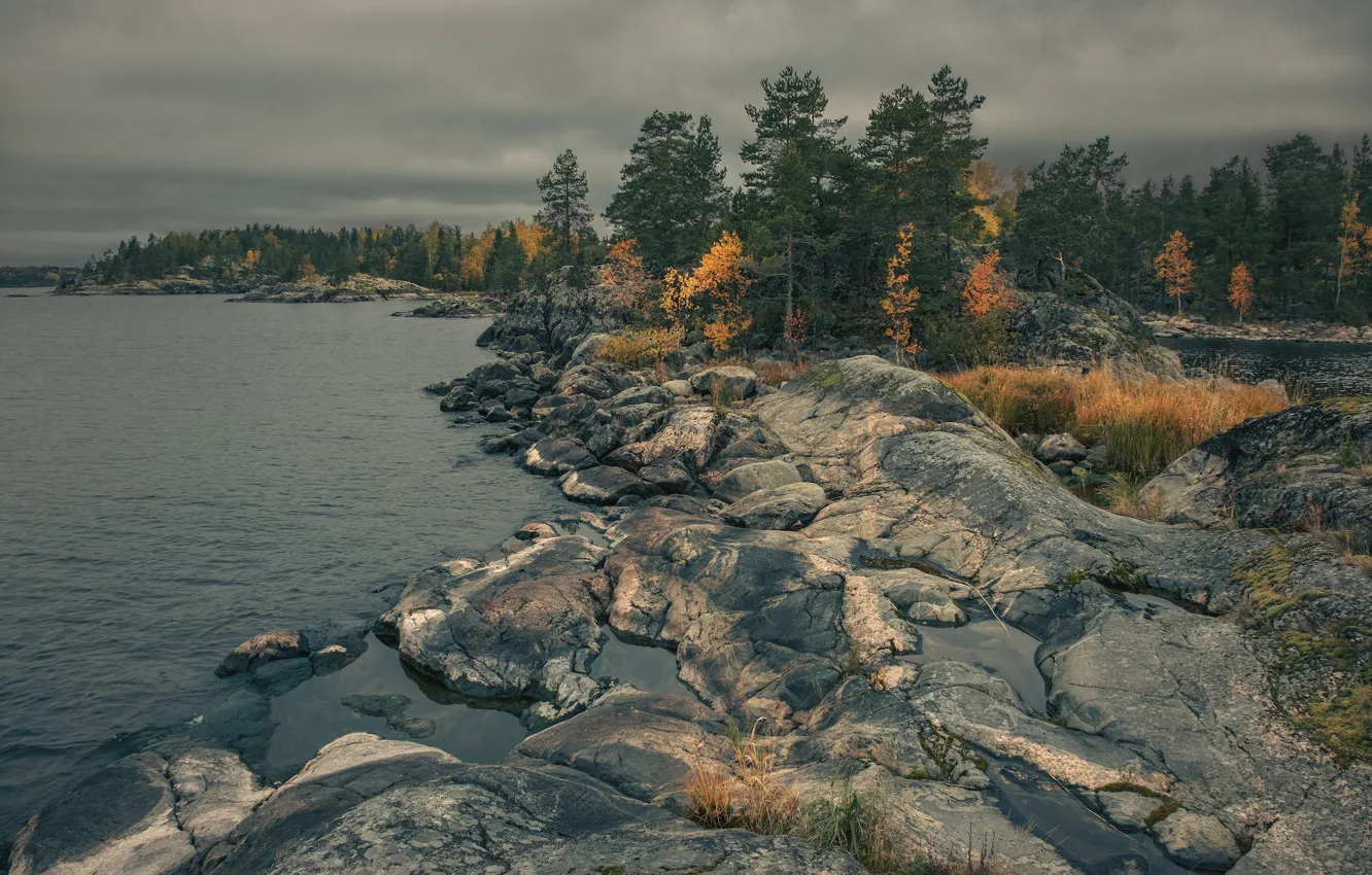 Photo wallpaper autumn, forest, clouds, trees, clouds, lake, river, stones