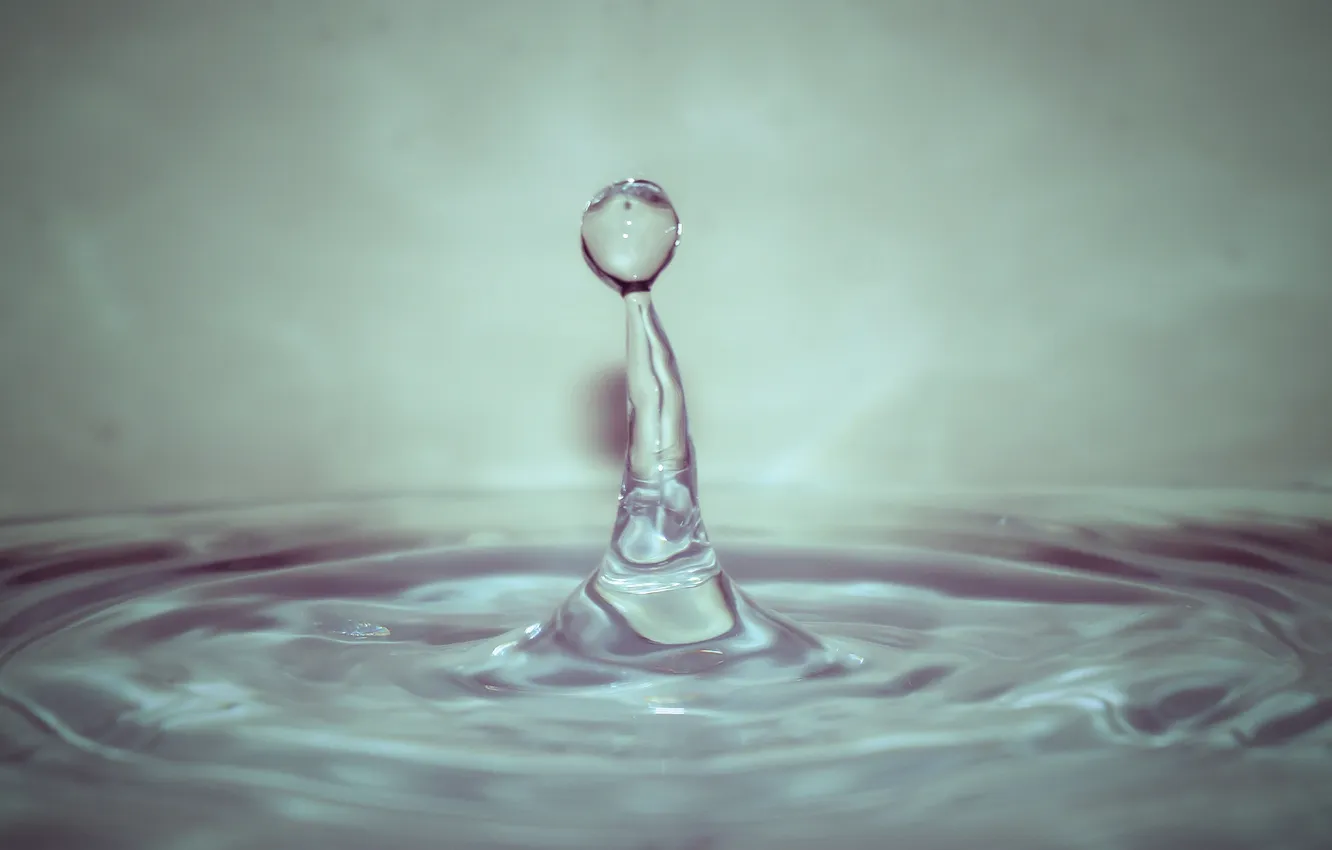 Photo wallpaper water, drops, macro
