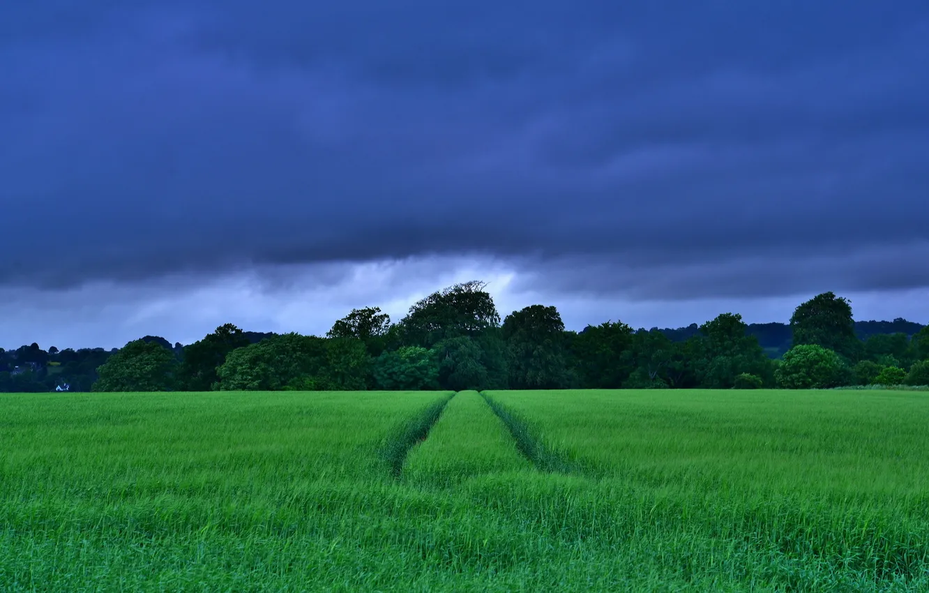 Photo wallpaper field, the sky, landscape
