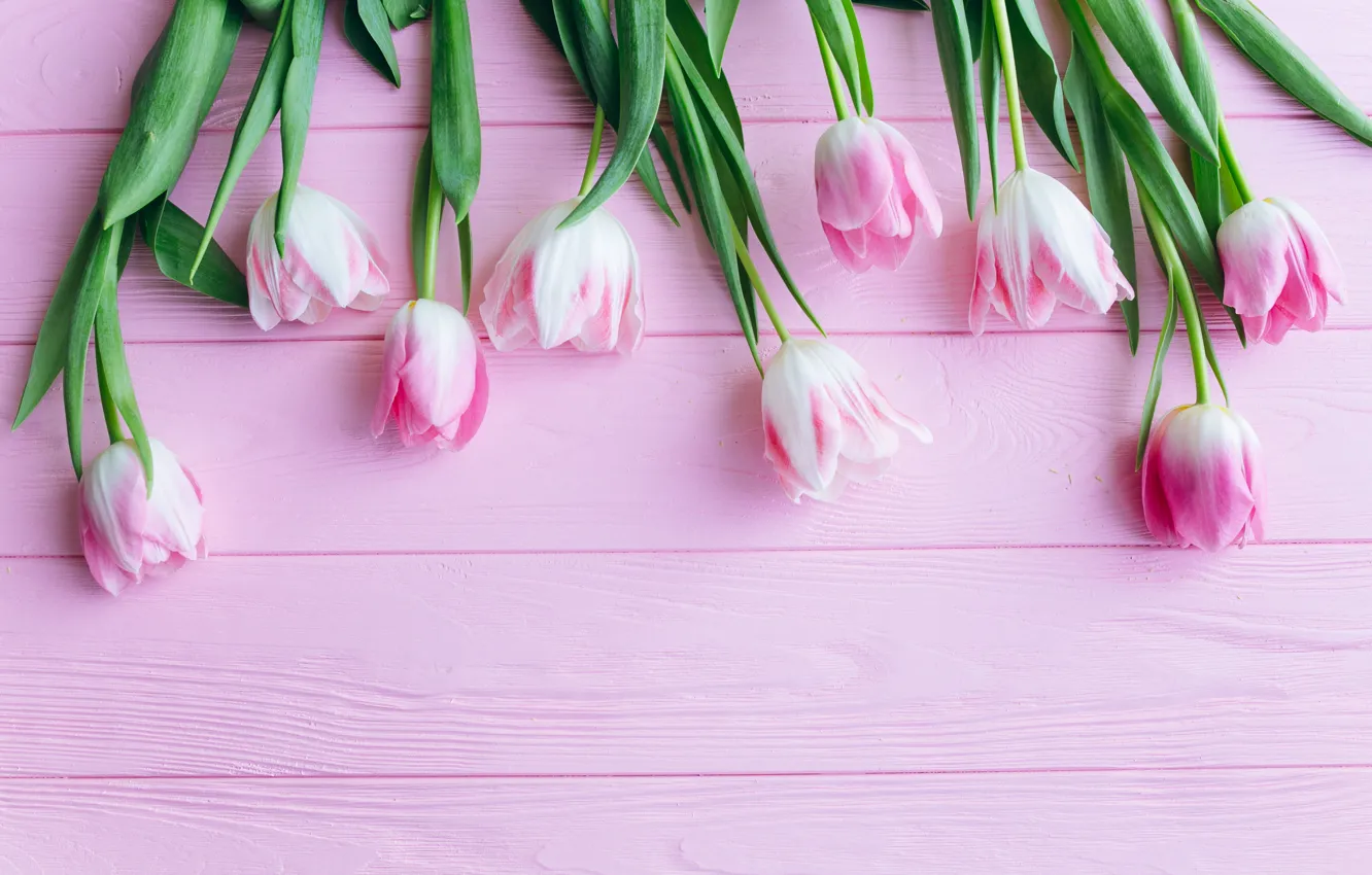 Photo wallpaper flowers, tulips, pink, fresh, wood, pink, flowers, beautiful