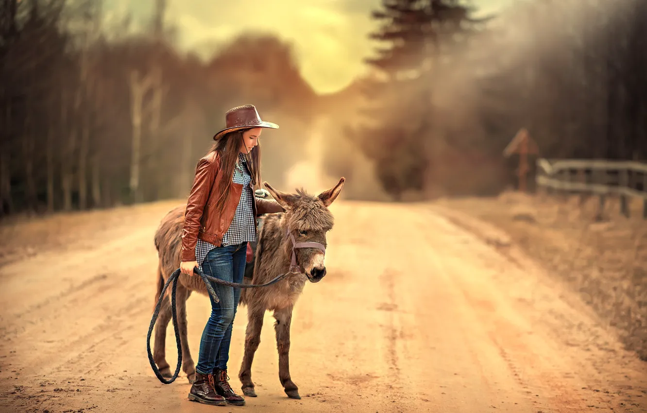 Photo wallpaper road, girl, donkey