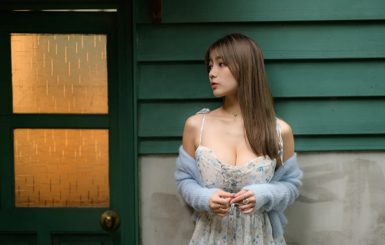 Photo wallpaper girl, portrait, Asian