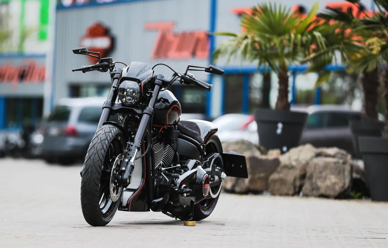 Photo wallpaper motorcycle, Harley Davidson, bike, Thunderbike customs