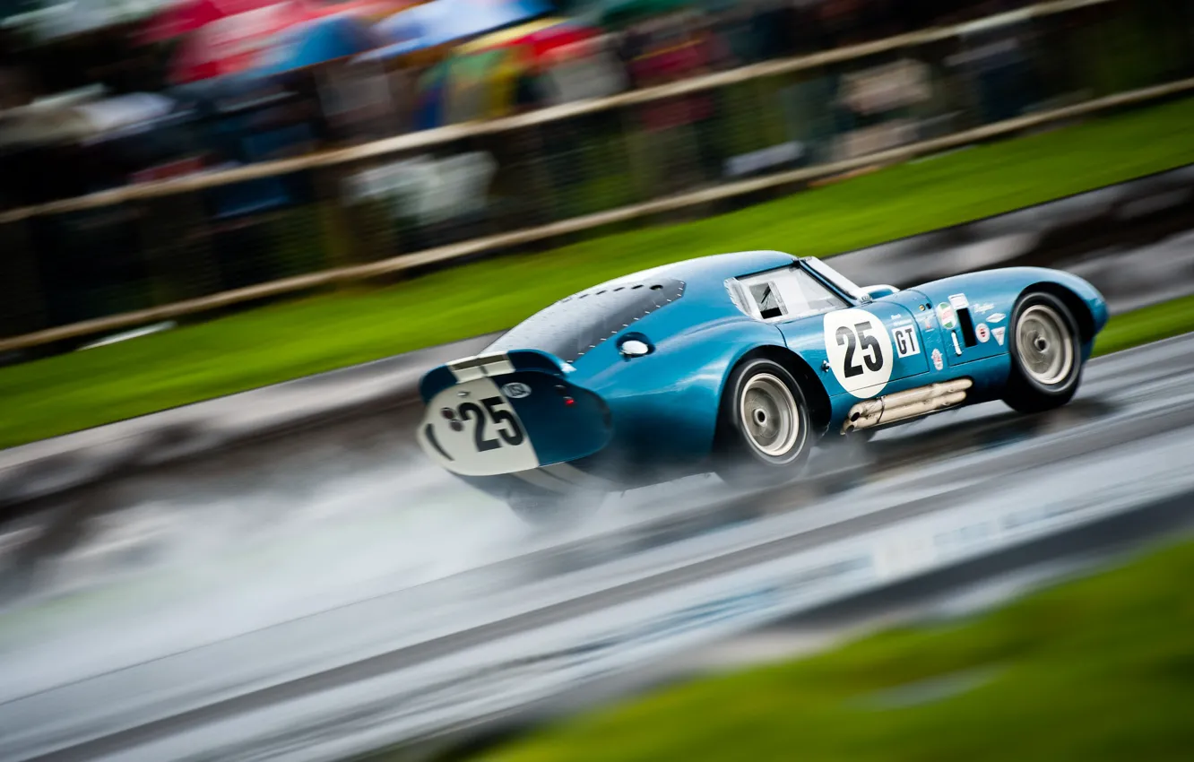 Photo wallpaper Shelby, 2011, Coupe, Snake, Cobra, Daytona, Shelby Cobra Daytona Coupe, Goodwood Revival