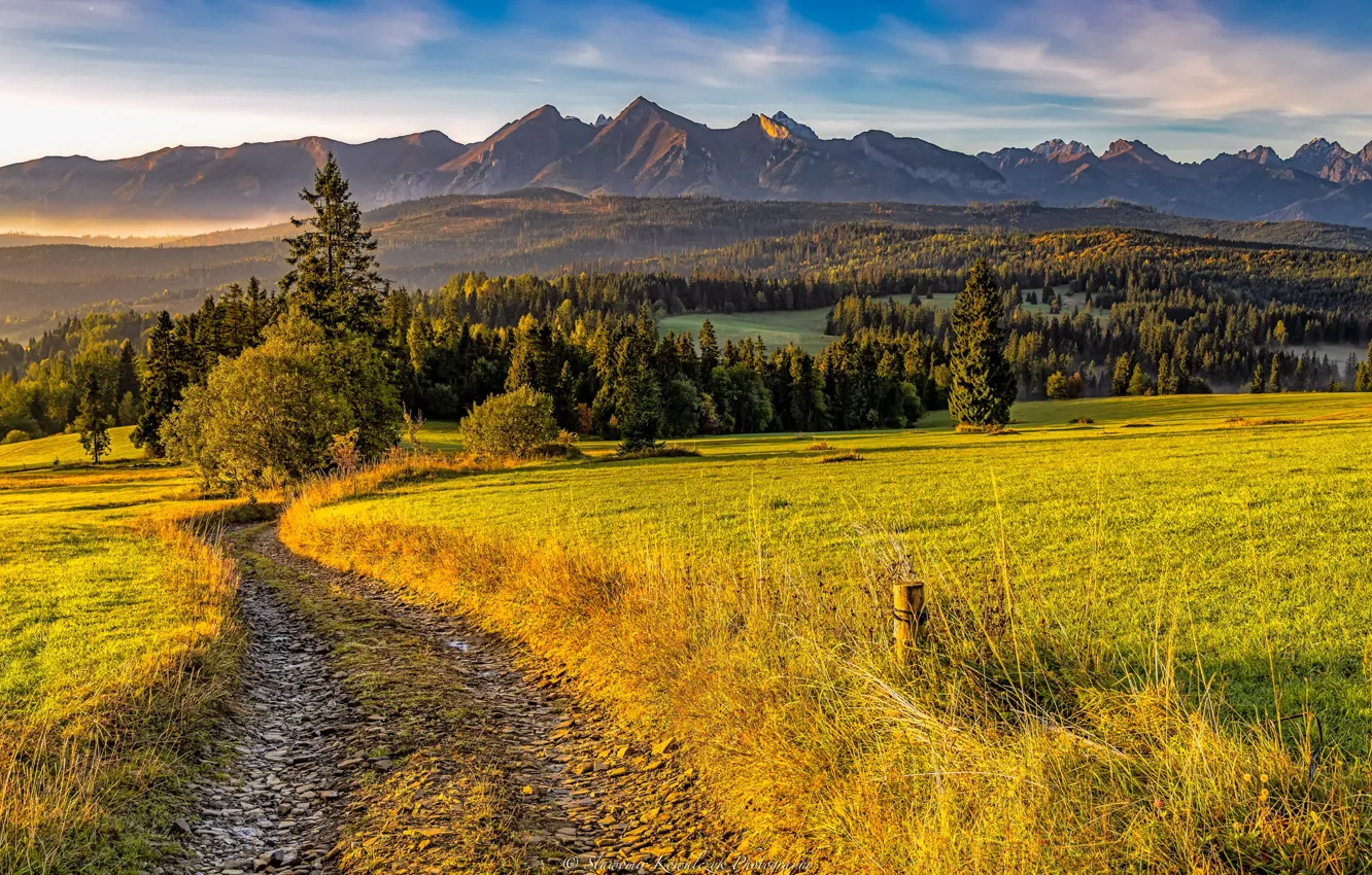 Photo wallpaper road, autumn, forest, landscape, mountains, nature, meadow, Tatras
