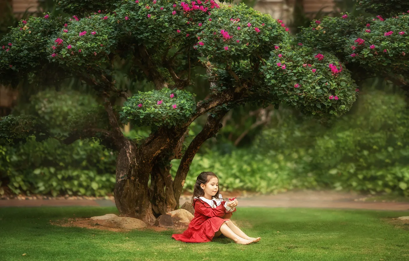 Photo wallpaper grass, nature, tree, girl, flowering, lawn, child, Anastasia Barmina
