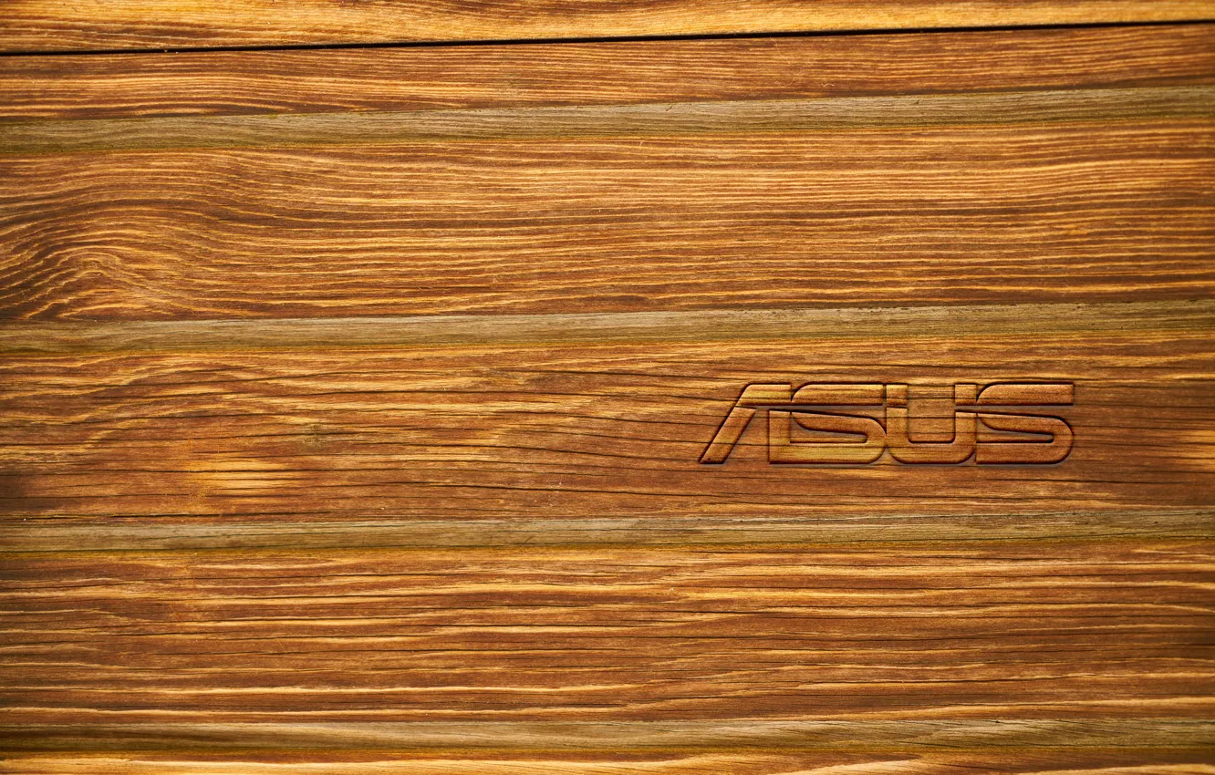 Photo wallpaper tree, the inscription, Logo, Logo, ASUS, Digital Art