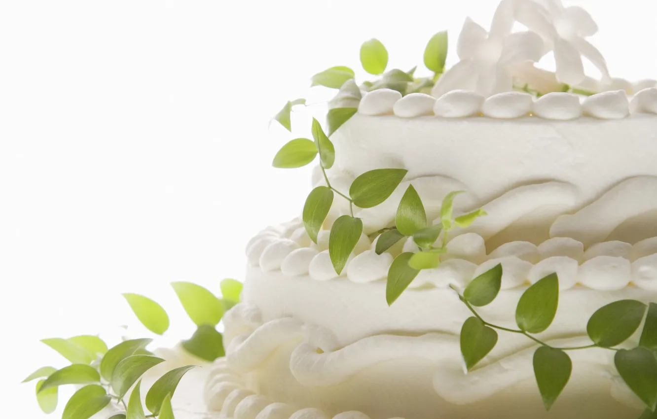 Photo wallpaper holiday, cake, different