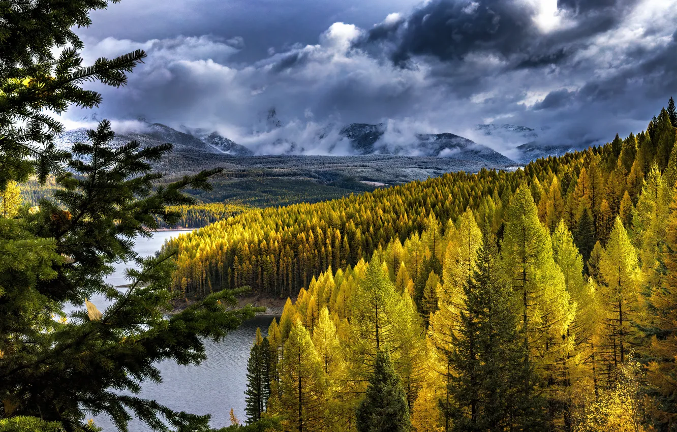 Photo wallpaper autumn, forest, the sky, trees, mountains, branches, clouds, nature