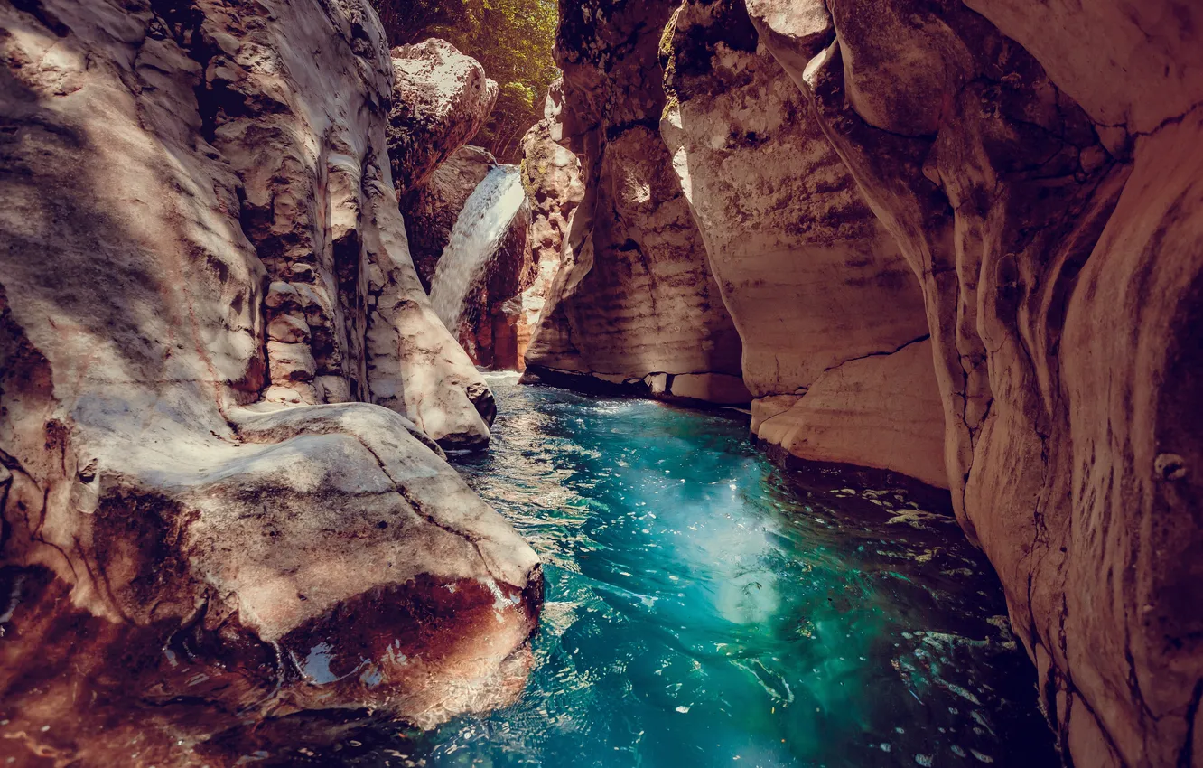 Photo wallpaper landscape, jungle, nature, mountain, natural, jorney, martvili