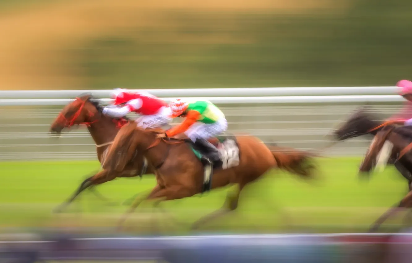 Photo wallpaper background, race, sport, horses