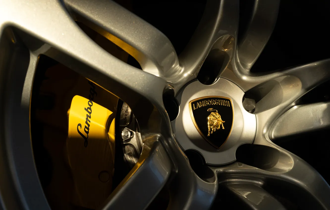 Photo wallpaper close-up, logo, Lamborghini, wheel, disk, Murcielago, Lamborghini, Lamborghini Murcielago LP640