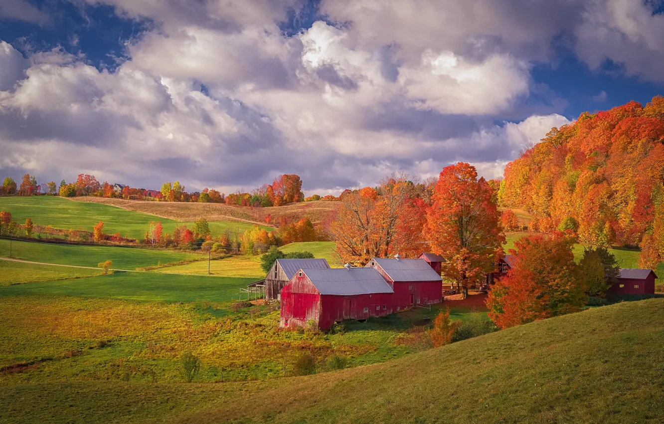 Photo wallpaper autumn, forest, clouds, trees, landscape, nature, house, blue