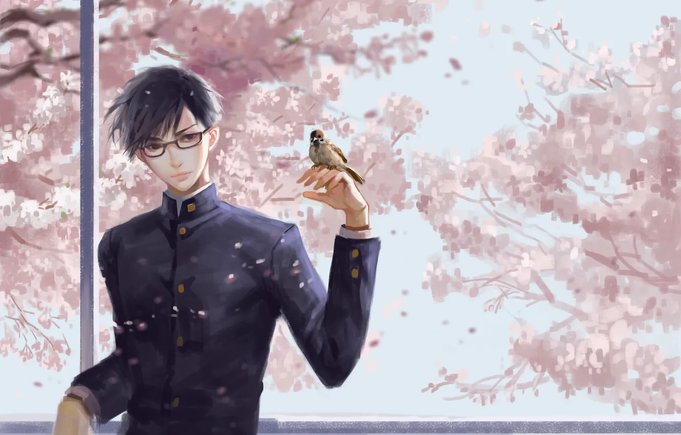 Photo wallpaper bird, spring, art, guy, Sakamoto, Sakamoto, Sakamoto desu ga?