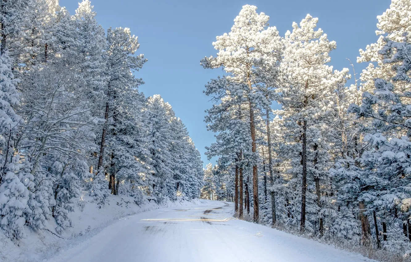 Photo wallpaper winter, road, forest, the sky, snow, photo