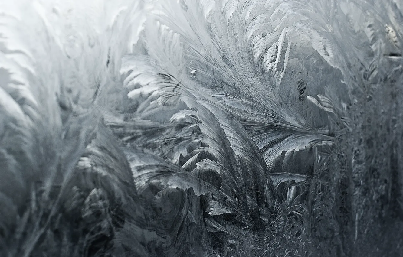 Photo wallpaper winter, frost, glass, pattern