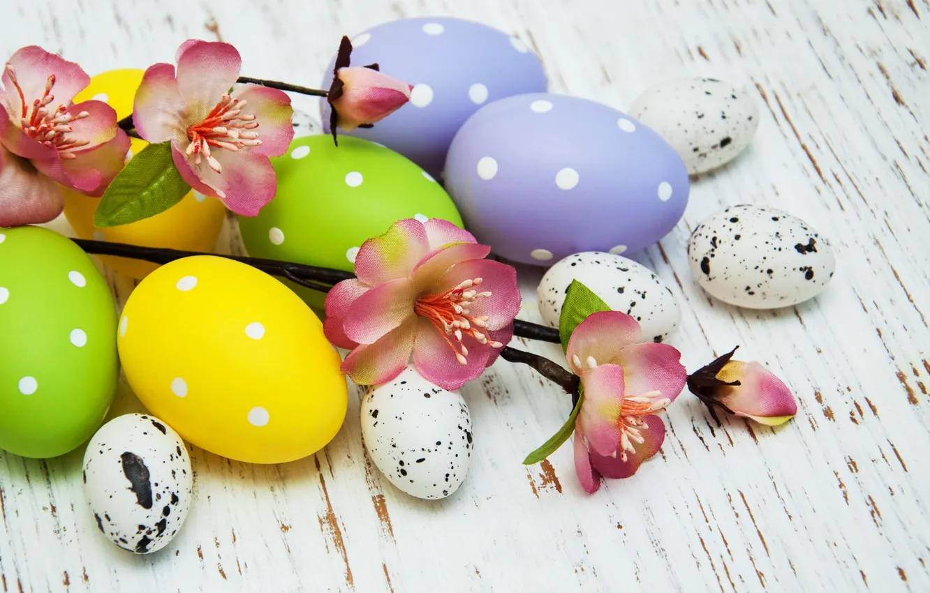 Photo wallpaper flowers, eggs, spring, colorful, Easter, wood, pink, blossom
