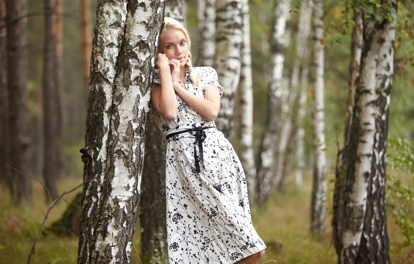 Photo wallpaper forest, girl, birch