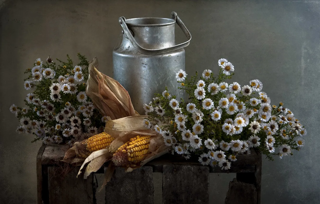 Photo wallpaper flowers, background, corn