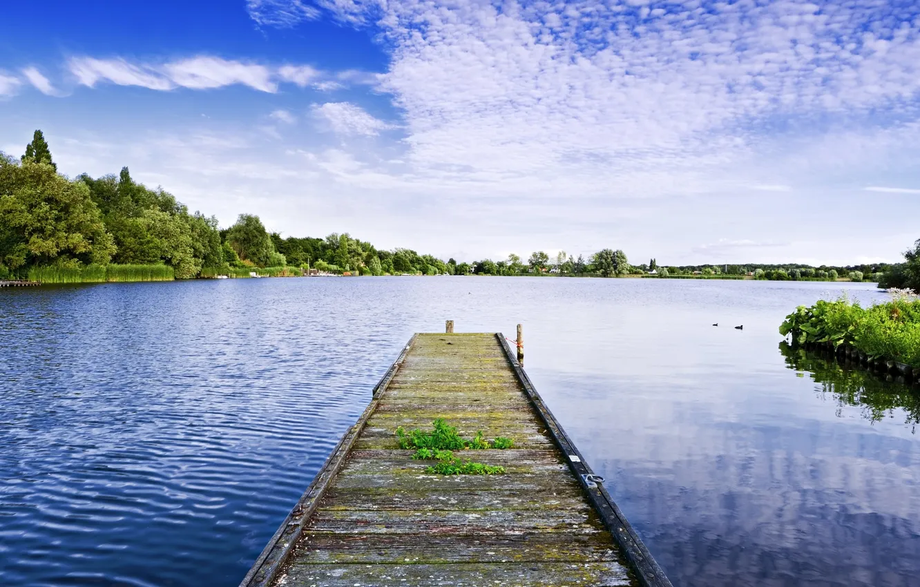 Photo wallpaper grass, water, trees, bridge, nature, lake, river, Board