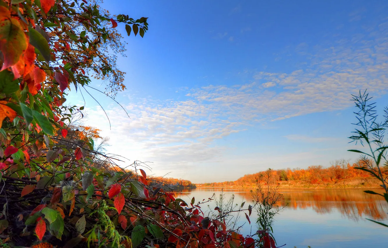 Photo wallpaper autumn, the sky, leaves, clouds, trees, river