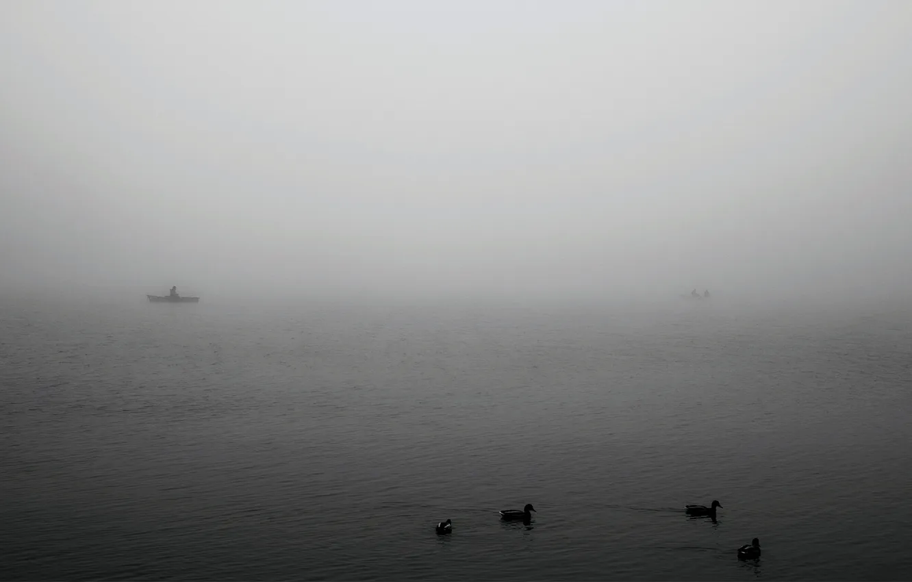 Photo wallpaper sea, water, landscape, fog, lake, river, photo, the ocean