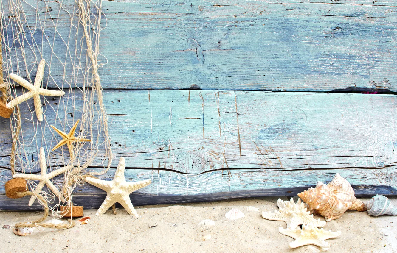 Photo wallpaper sand, beach, stars, shell, beach, wood, sand, seashells