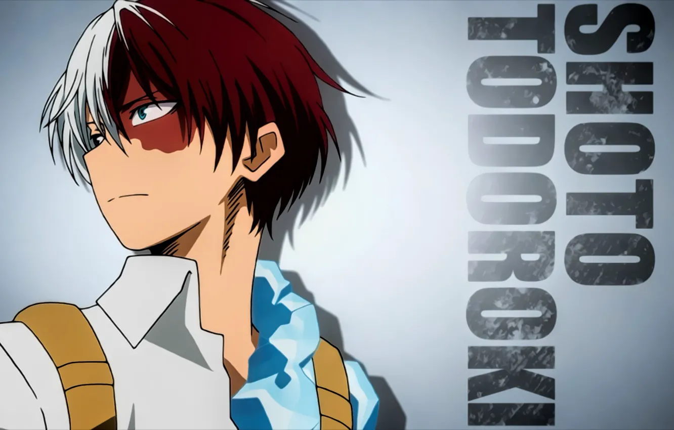 Photo wallpaper anime, hero, manga, japanese, by sanoboss, Boku no Hero Academy, My Hero Academia, 018