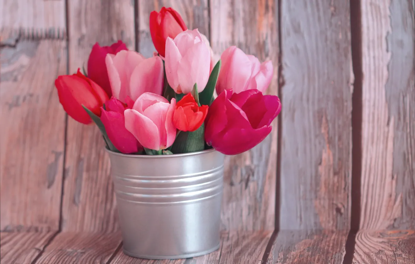 Photo wallpaper flowers, Board, tulips, bucket