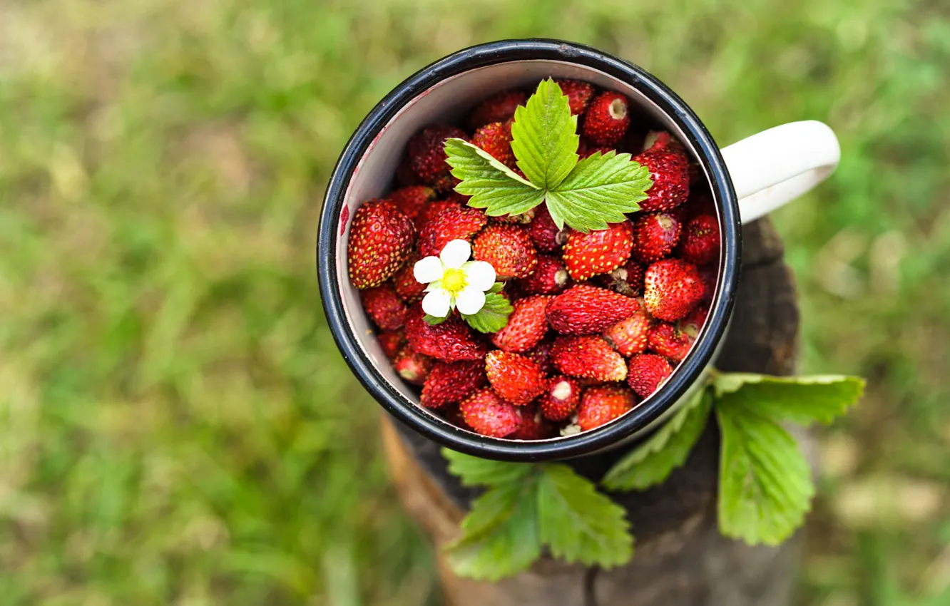 Photo wallpaper leaves, berries, glade, harvest, strawberries, mug, flowers, green background