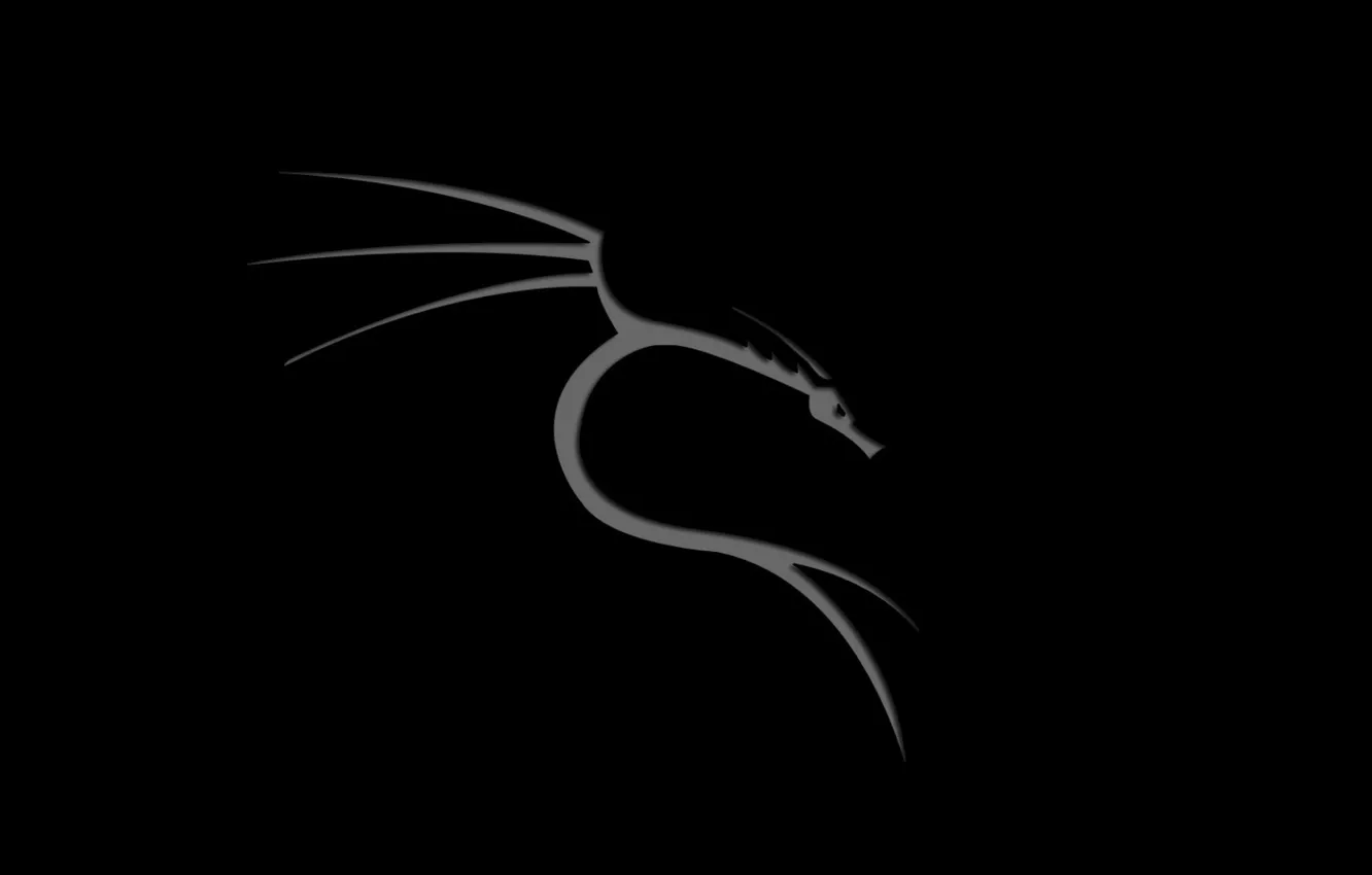 Photo wallpaper linux, kali, backgound
