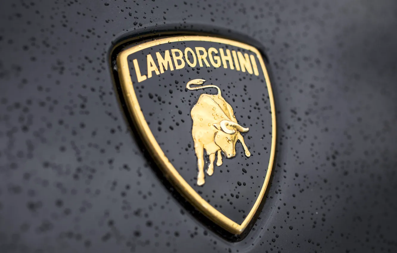 Photo wallpaper drops, Lamborghini, logo, Lamborghini, bull