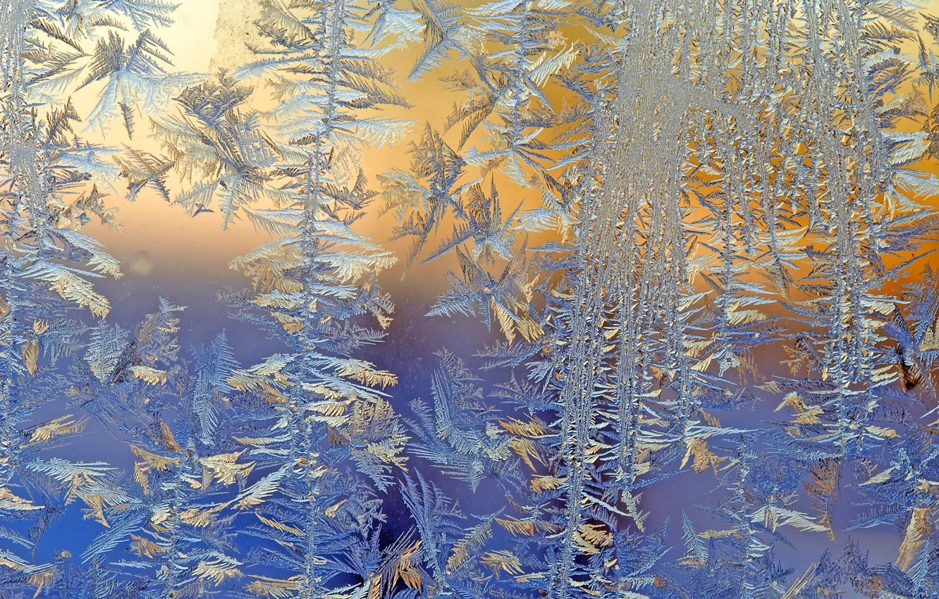 Photo wallpaper winter, frost, macro, frost, frost, Patterns on the window