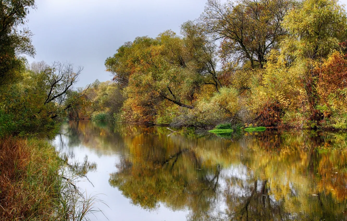 Photo wallpaper autumn, river, weeping willow