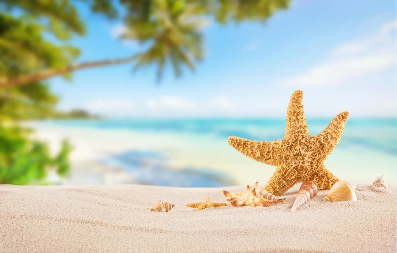 Photo wallpaper sand, sea, wave, beach, summer, the sky, stars, palm trees