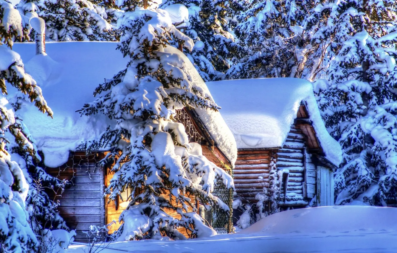 Photo wallpaper forest, snow, landscape, house