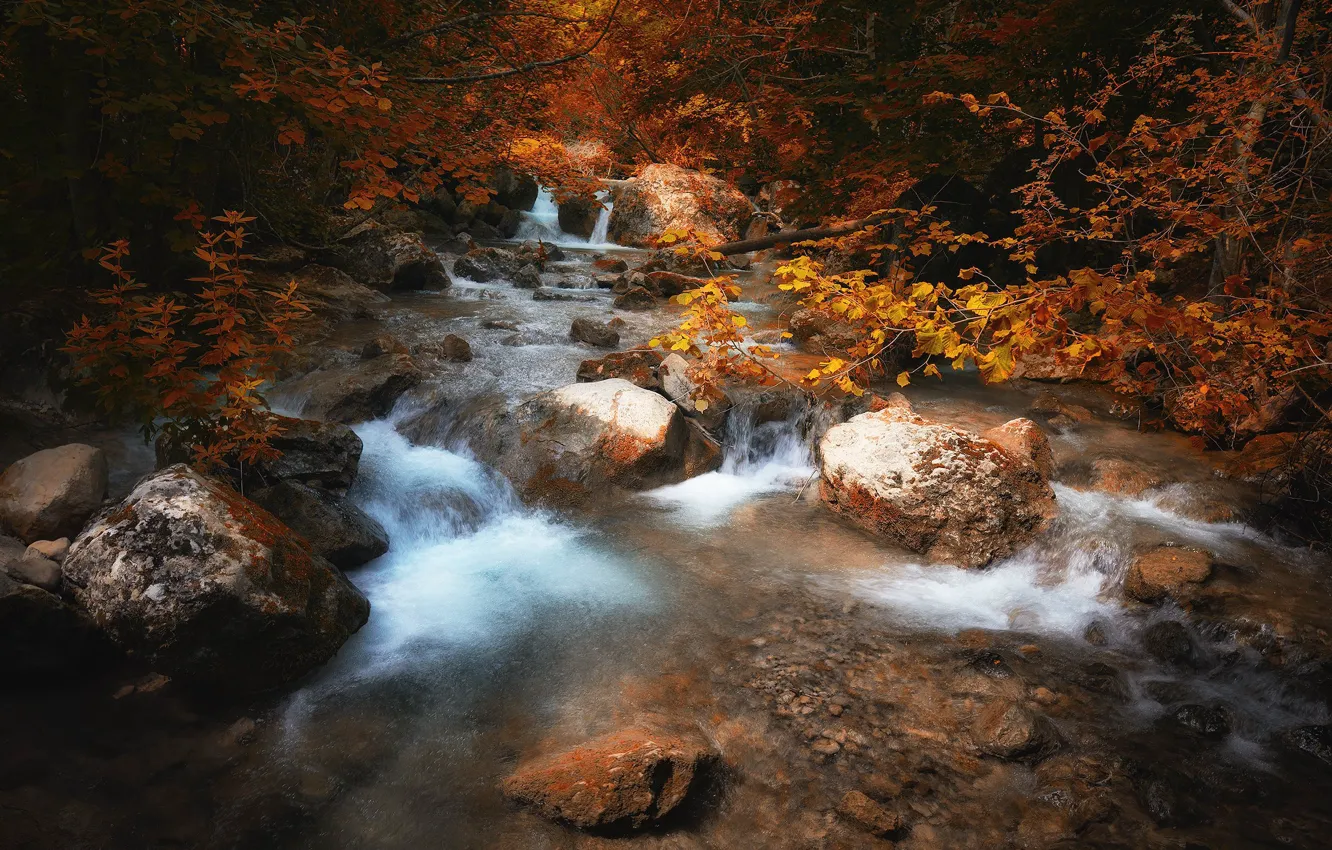 Photo wallpaper autumn, forest, nature, stream, stones, waterfall, Alexey Nikonov