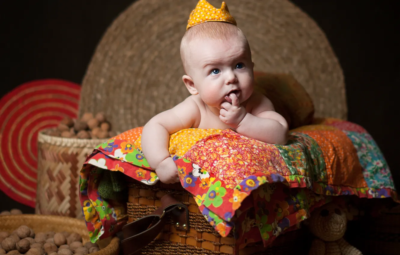 Photo wallpaper children, basket, crown, baby, blanket, nuts, Anna Levankova