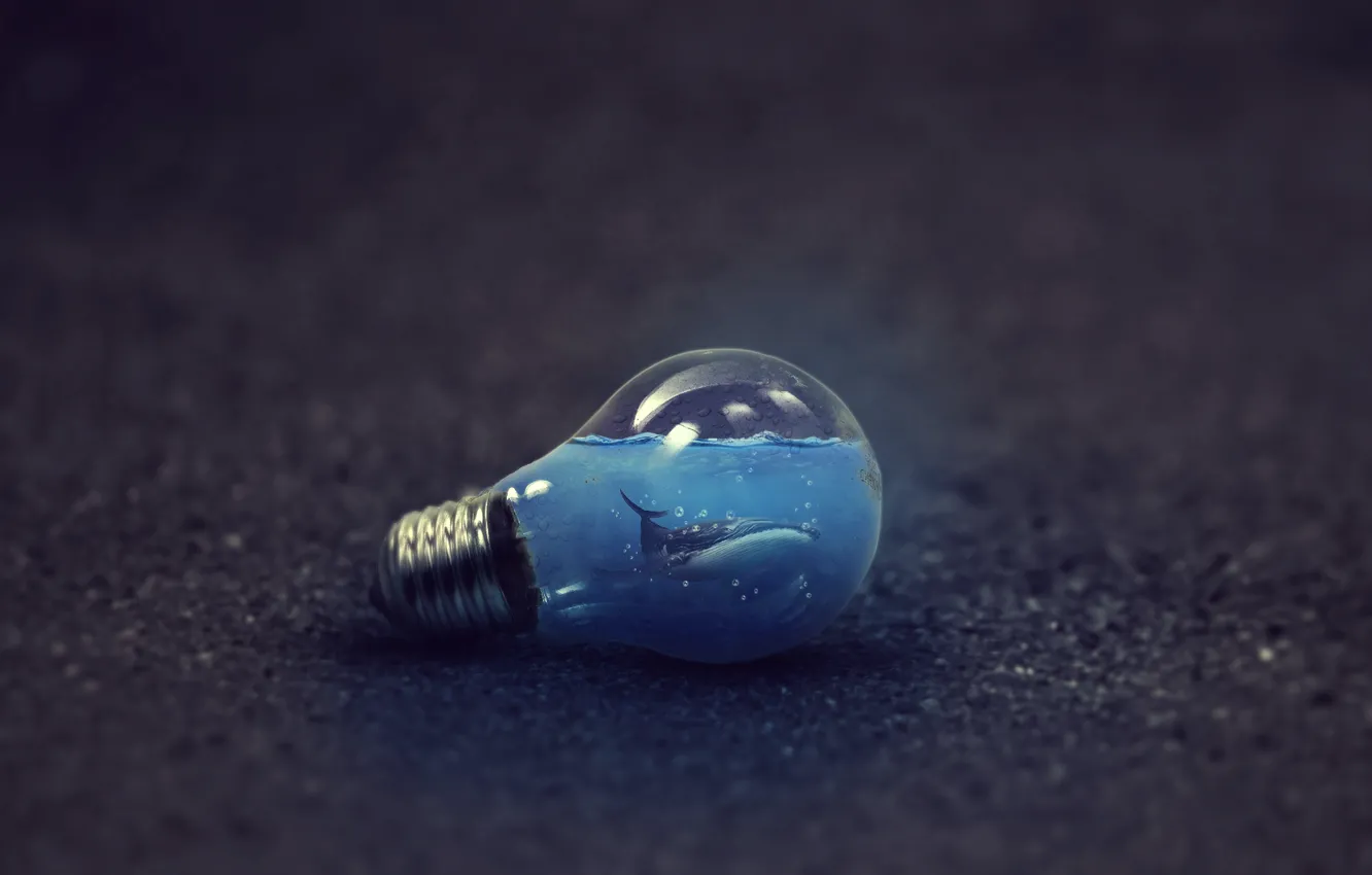 Photo wallpaper abstract, wallpaper, blue, water, animal, whale, bulb, waterbulb