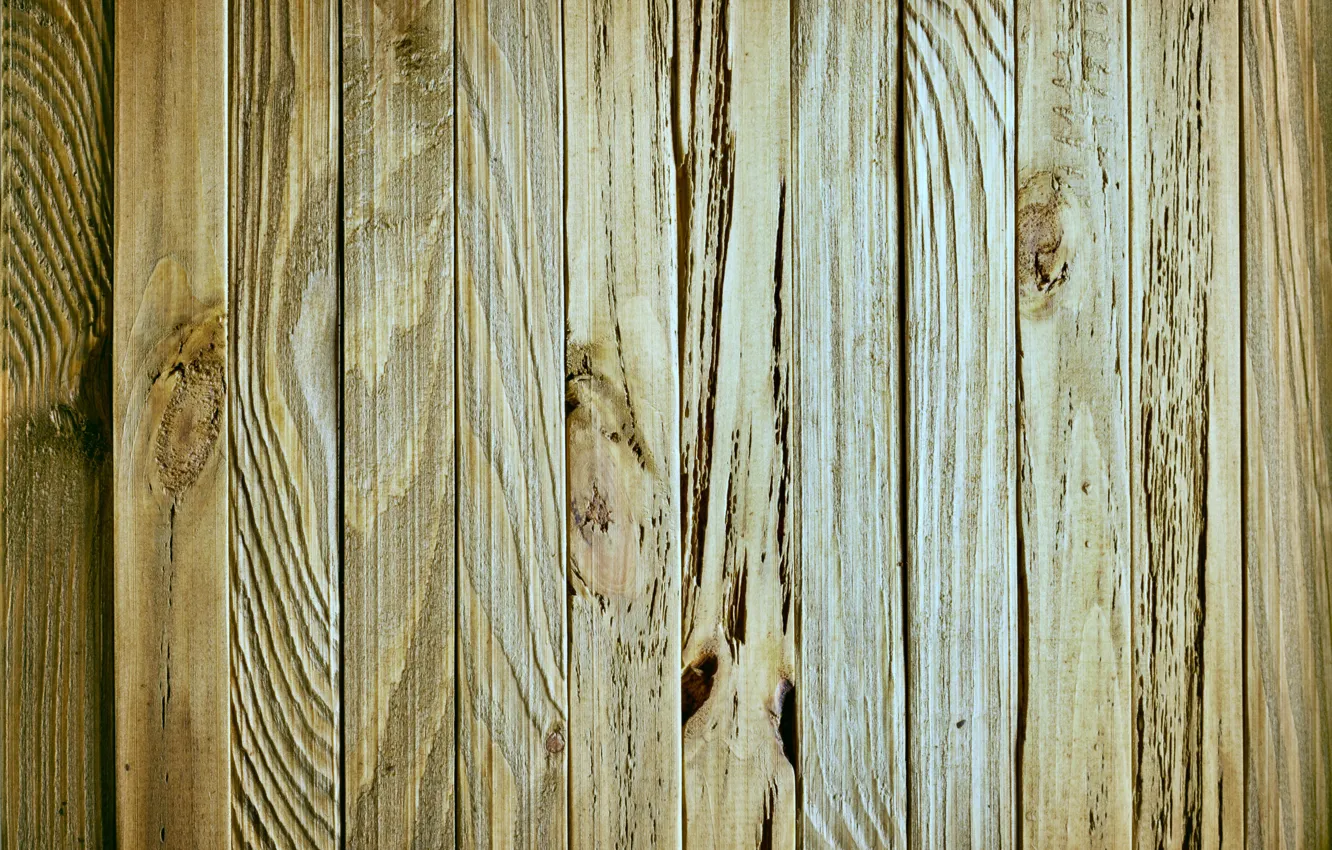 Photo wallpaper trees, structure, strap