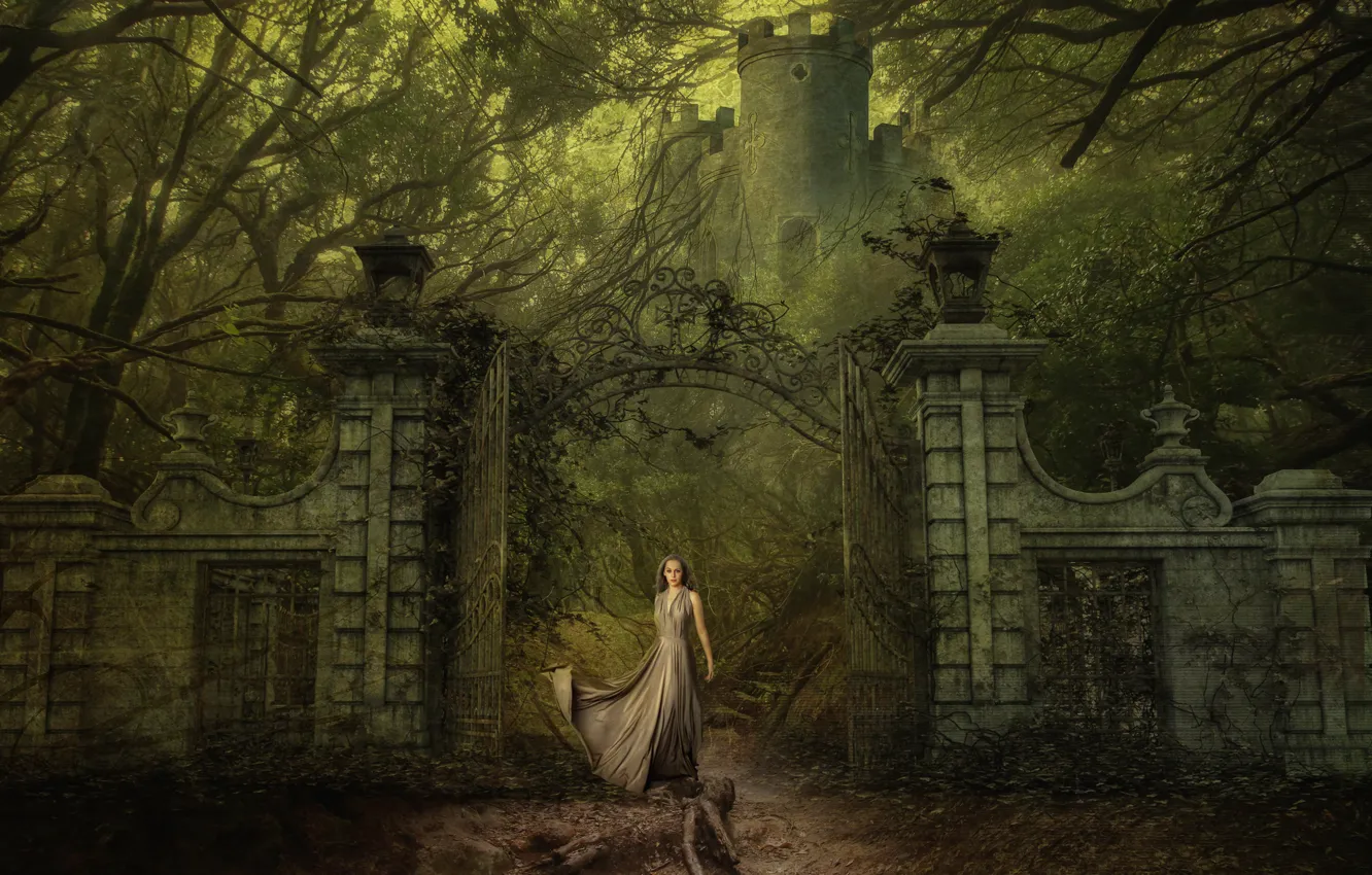 Photo wallpaper girl, trees, branches, old, fog, retro, rendering, castle