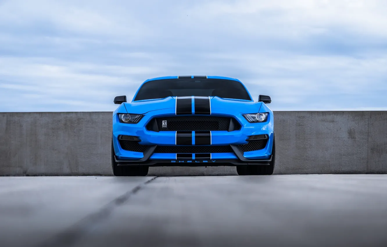 Photo wallpaper Mustang, Ford, Blue, Front, Cobra, Face, Sight
