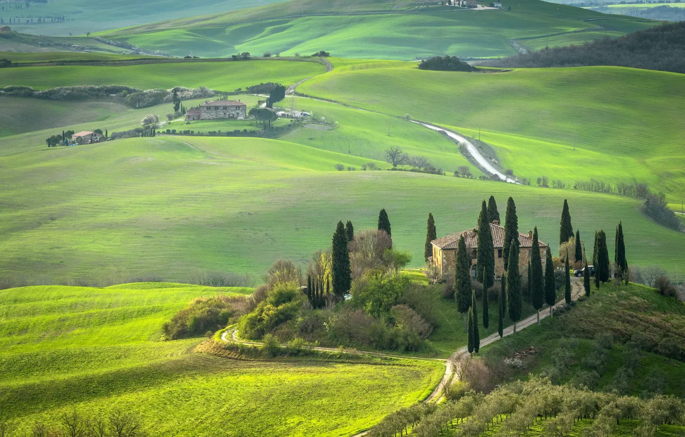 Photo wallpaper field, home, Italy, road, cypress, mansion, Tuscany, dal