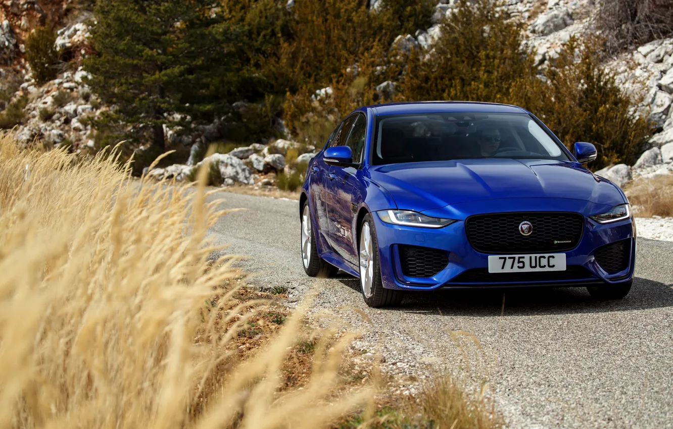 Photo wallpaper road, blue, stones, Jaguar, plants, slope, sedan, roadside