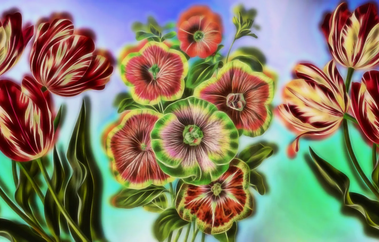 Photo wallpaper Graphics, Tulipany, Flowers