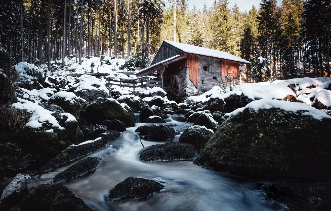 Photo wallpaper winter, forest, river, mill