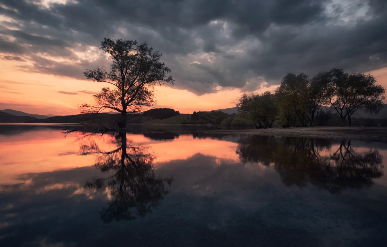 Photo wallpaper trees, reflection, lake, dawn