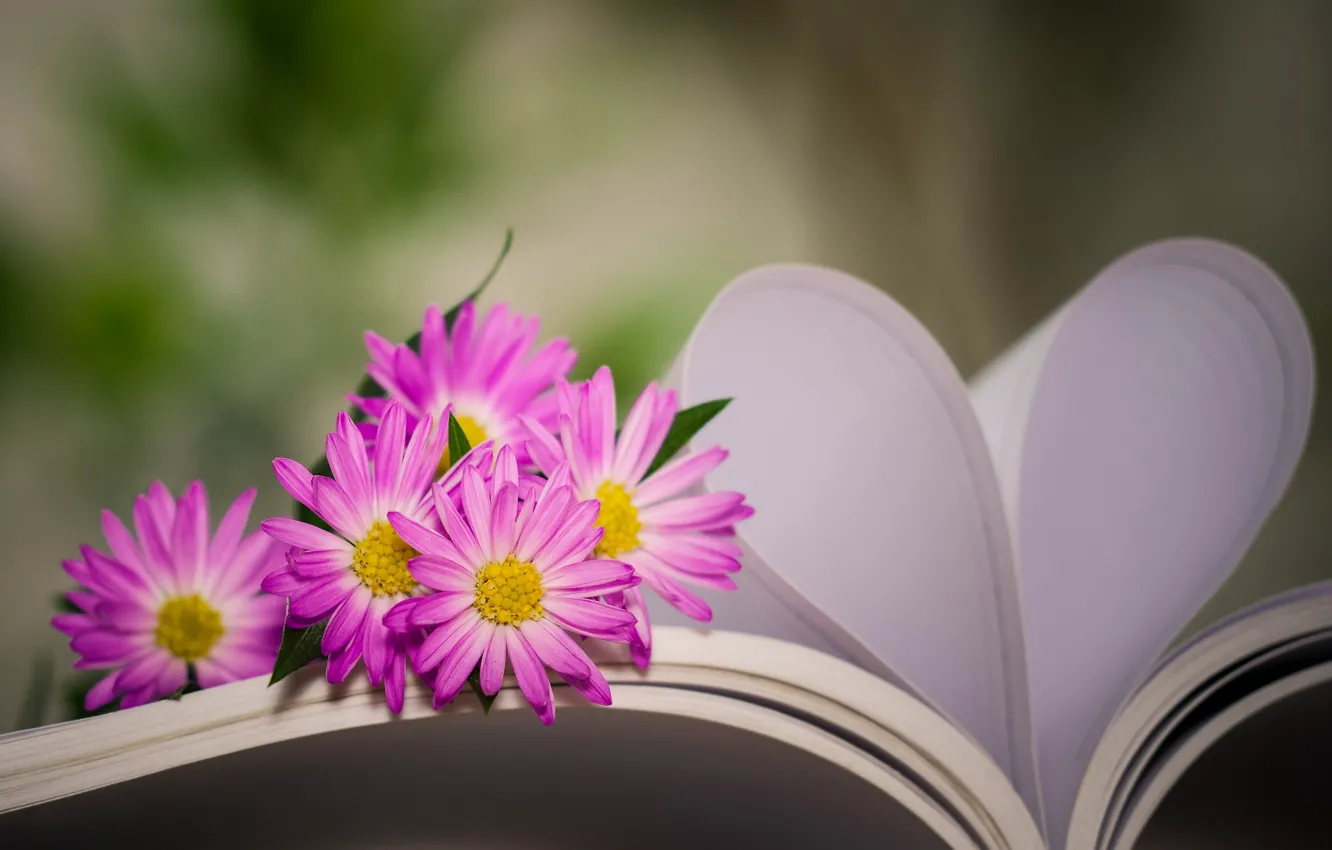 Photo wallpaper flowers, heart, book, bokeh